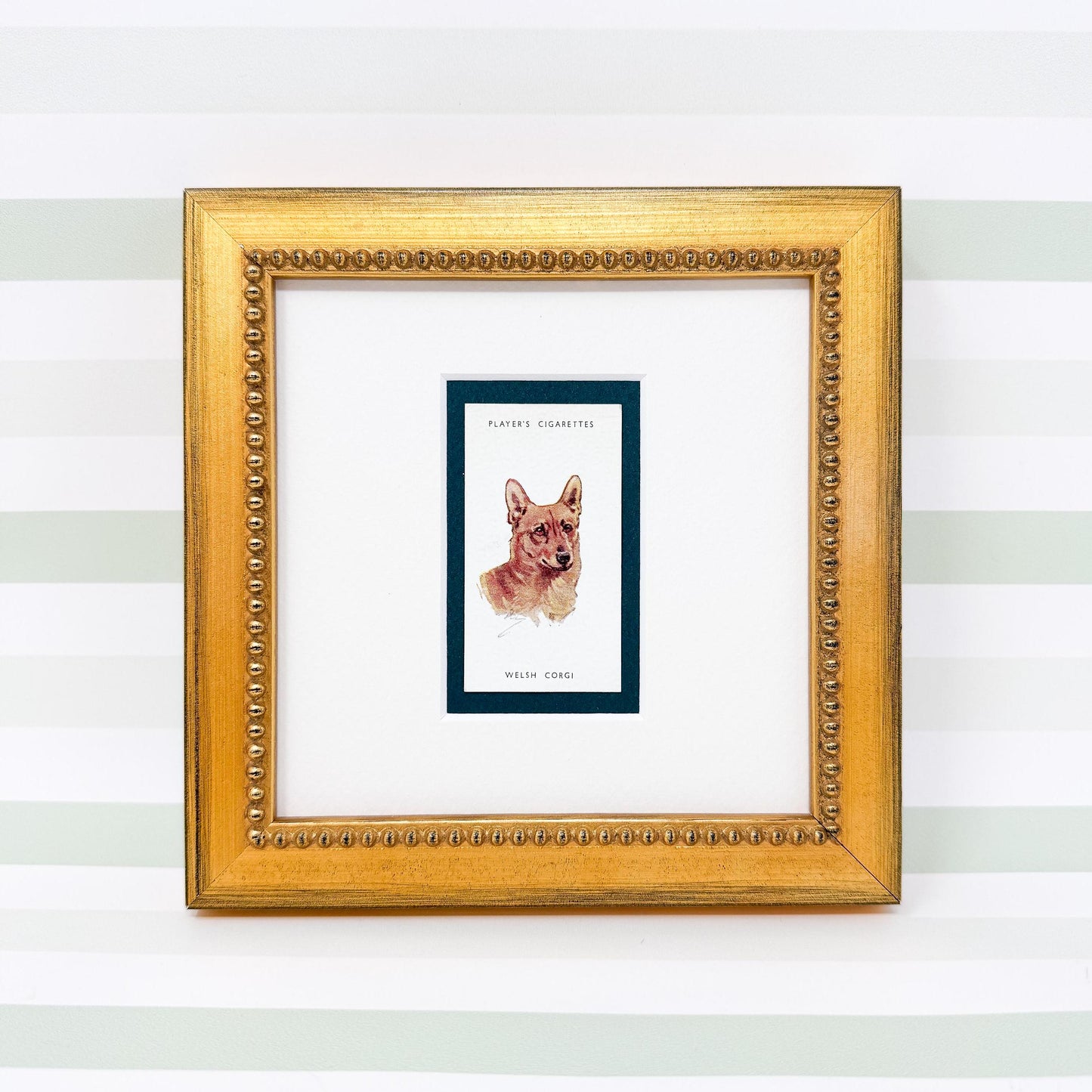 Framed Antique Dog Cigarette Card c. 1929, Welsh Corgi