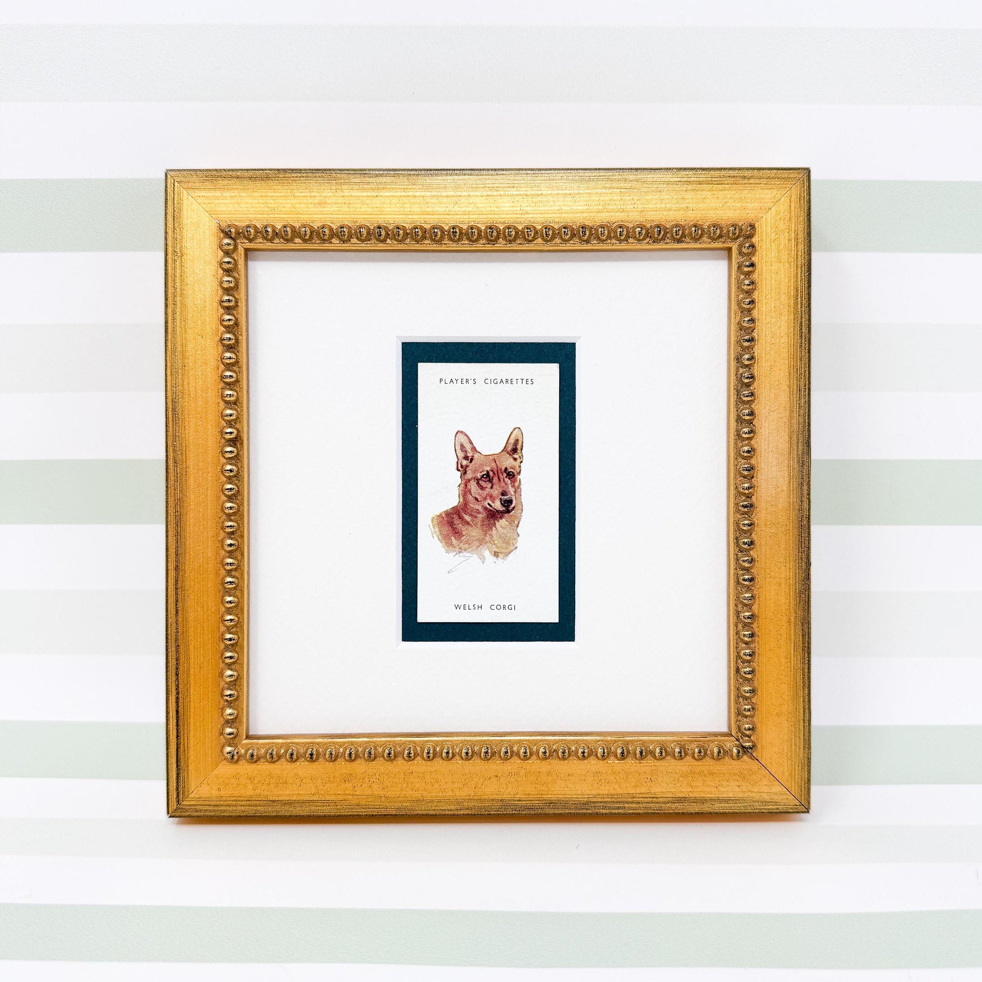 Framed Antique Dog Cigarette Card c. 1929, Welsh Corgi