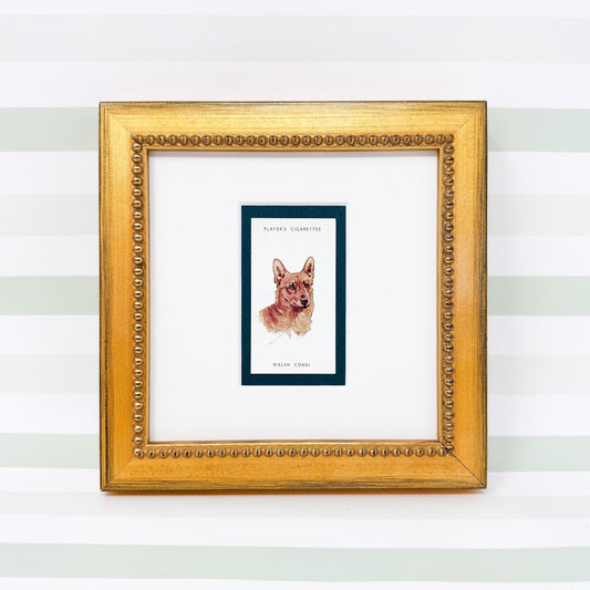 Framed Antique Dog Cigarette Card c. 1929, Welsh Corgi