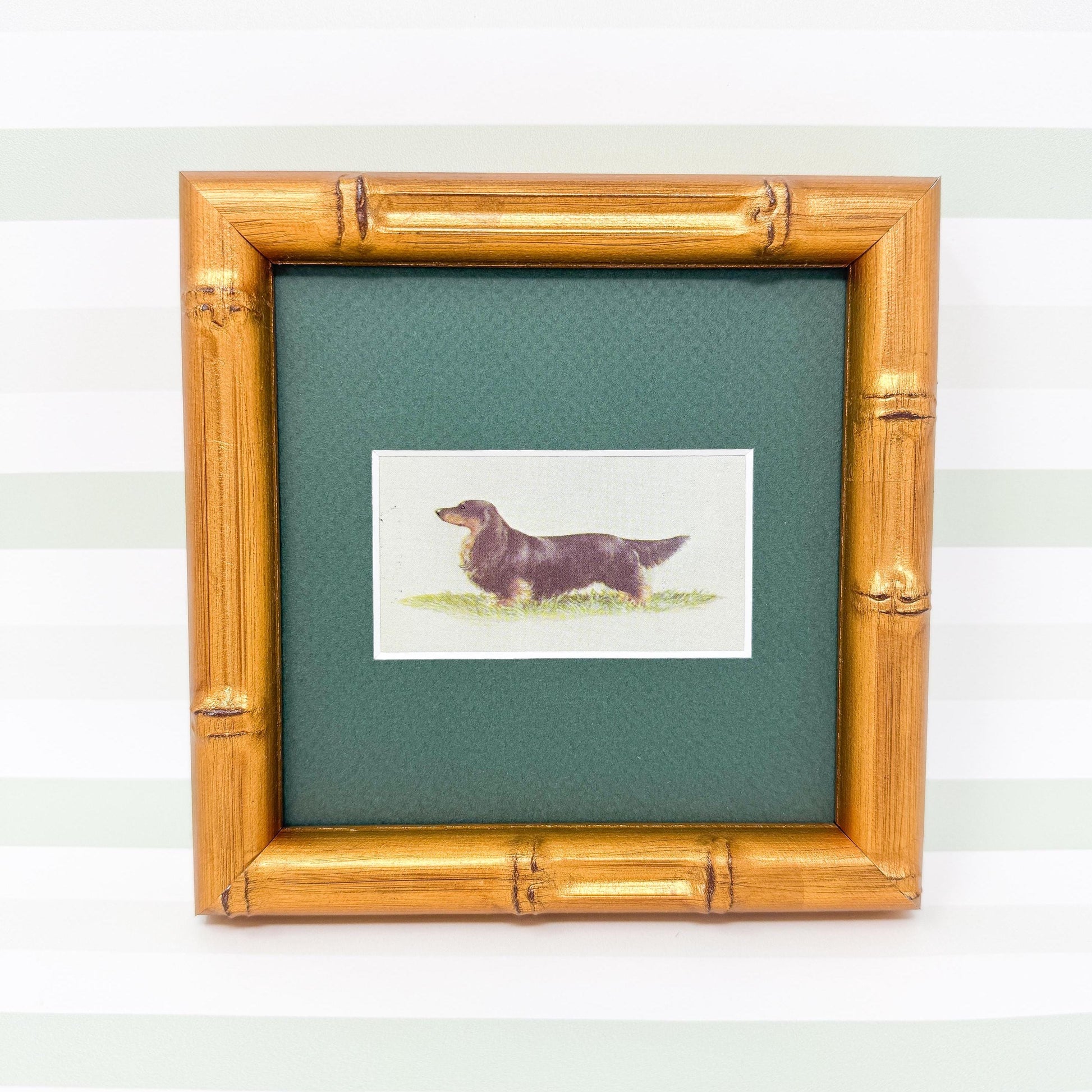 Framed Vintage Dog Cigarette Card c. 1971, Long-Haired Dachshund