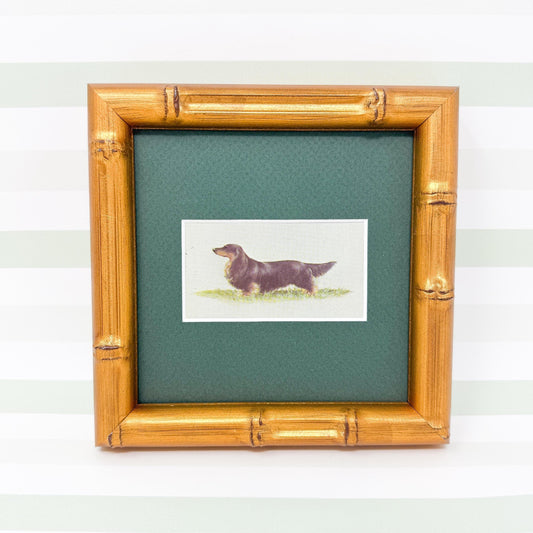 Framed Vintage Dog Cigarette Card c. 1971, Long-Haired Dachshund