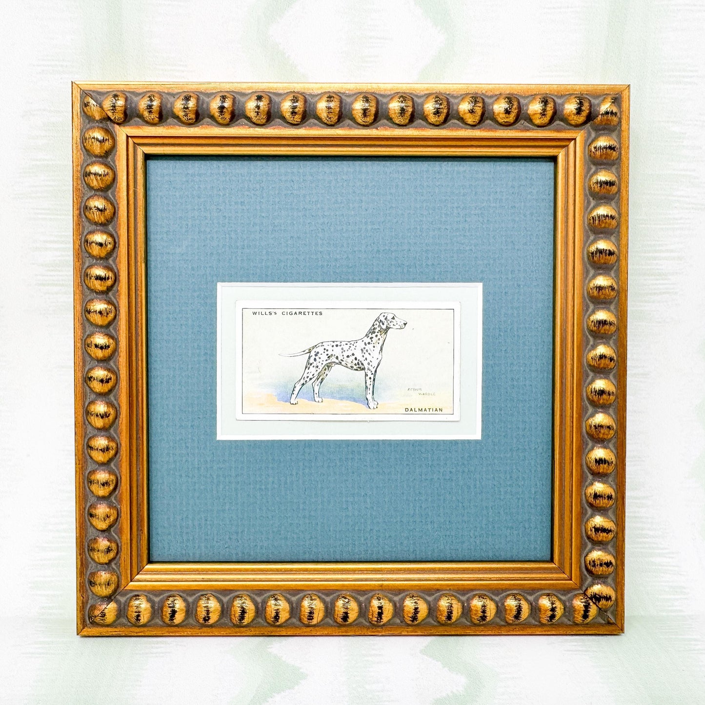 Framed Antique Dog Cigarette Card c. 1937, Dalmatian