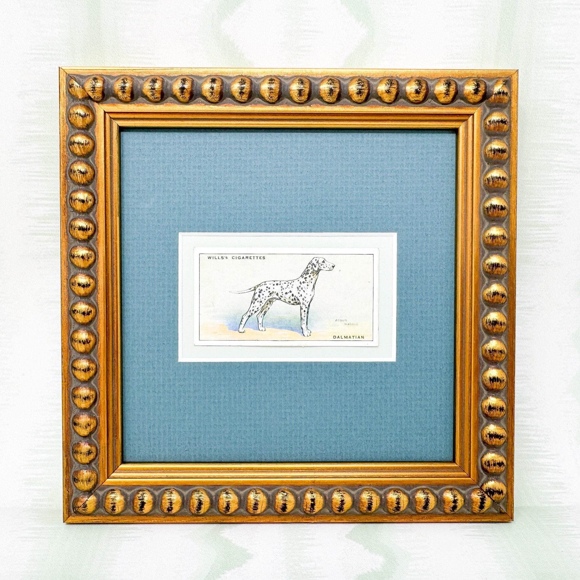 Framed Antique Dog Cigarette Card c. 1937, Dalmatian