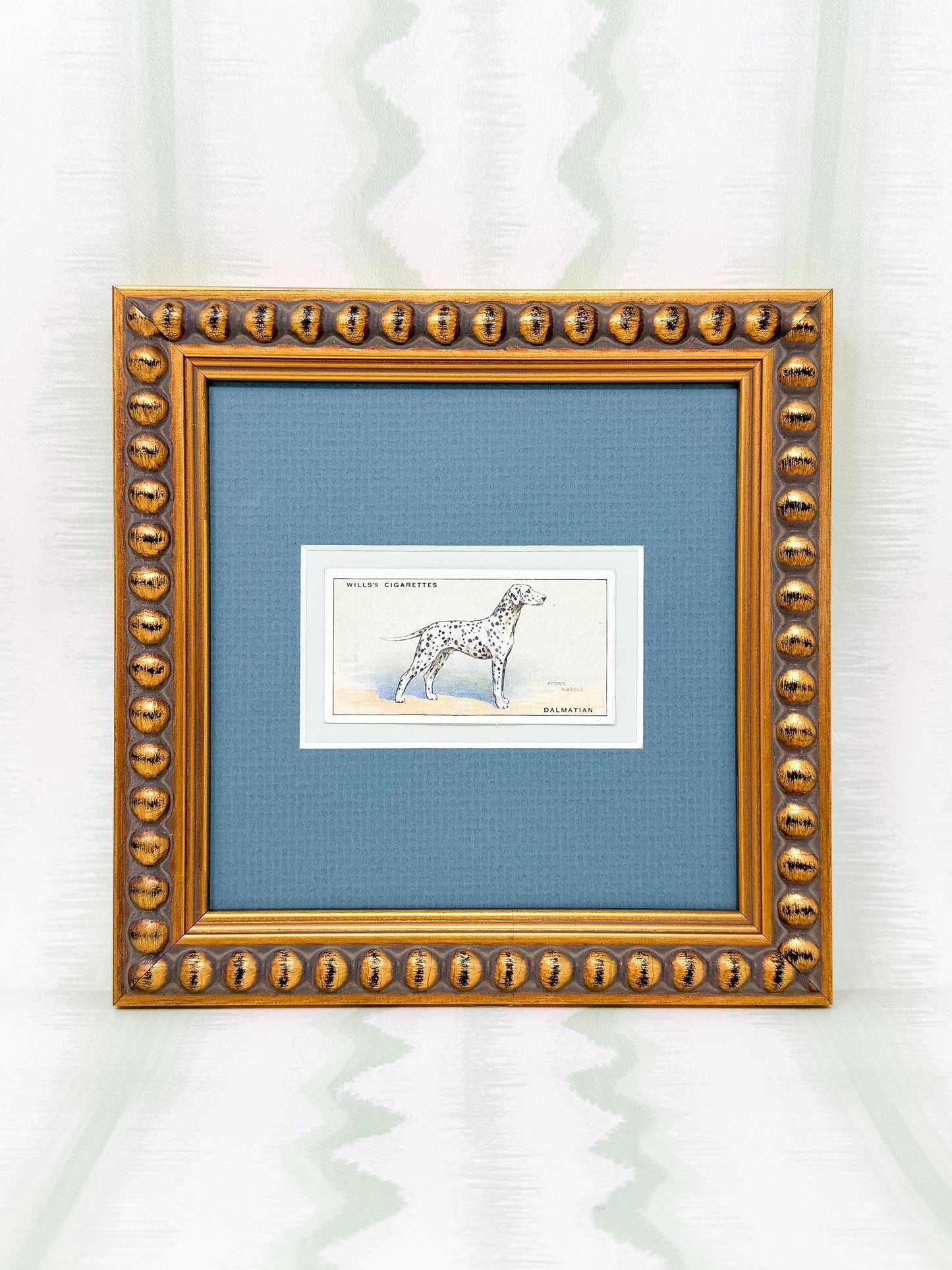 Framed Antique Dog Cigarette Card c. 1937, Dalmatian