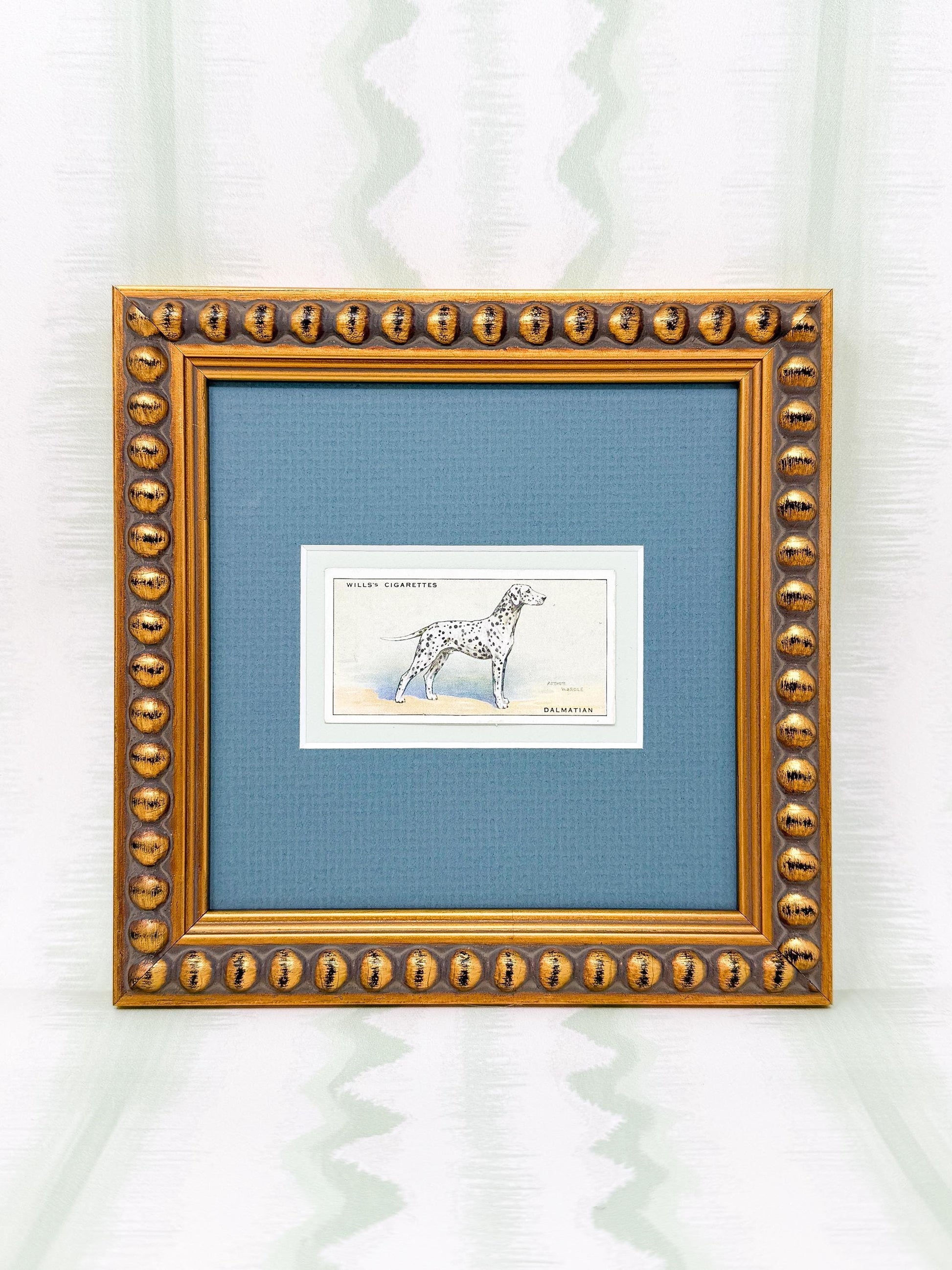 Framed Antique Dog Cigarette Card c. 1937, Dalmatian