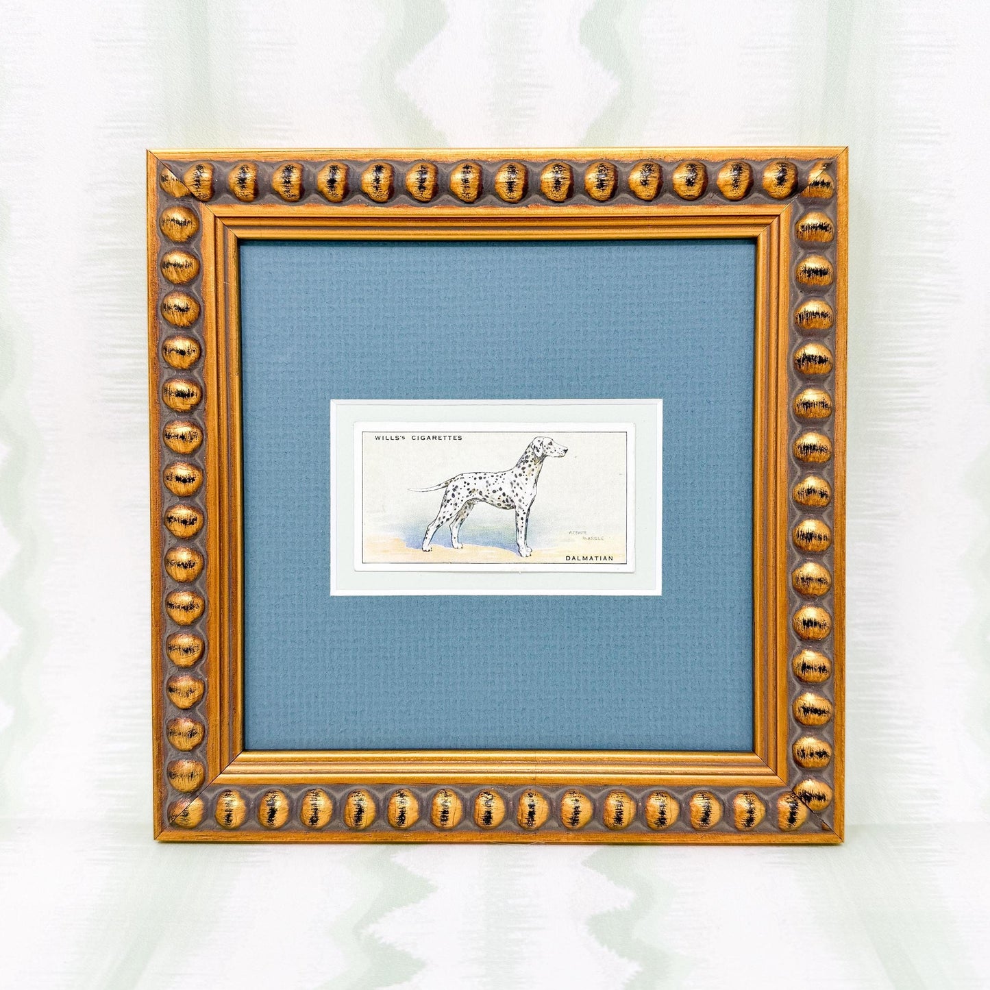 Framed Antique Dog Cigarette Card c. 1937, Dalmatian