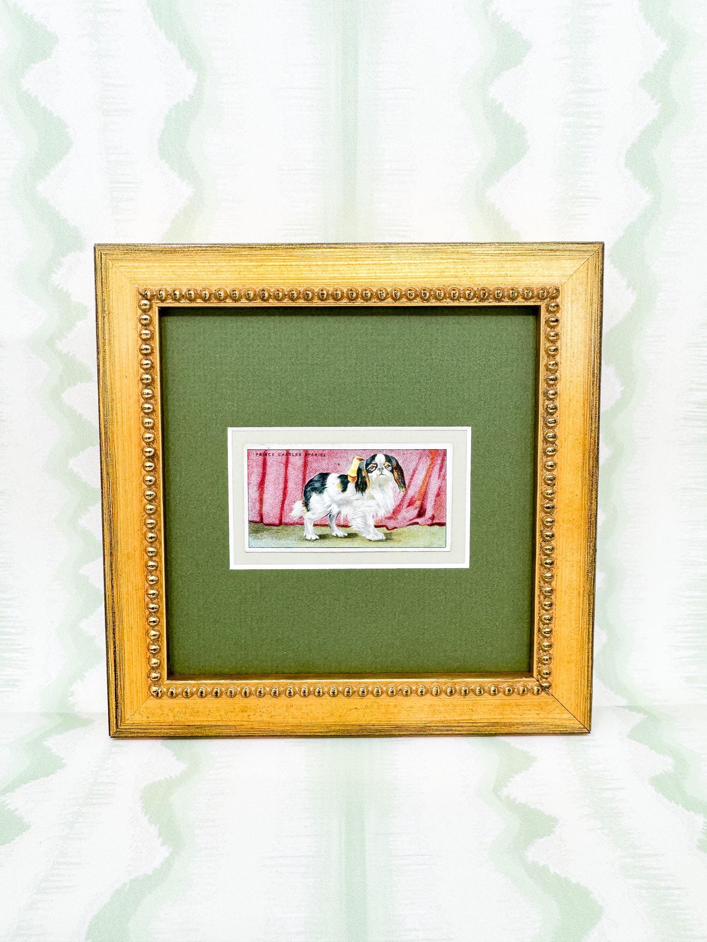 Framed Antique Dog Cigarette Card c. 1924, King Charles Cavalier Spaniel