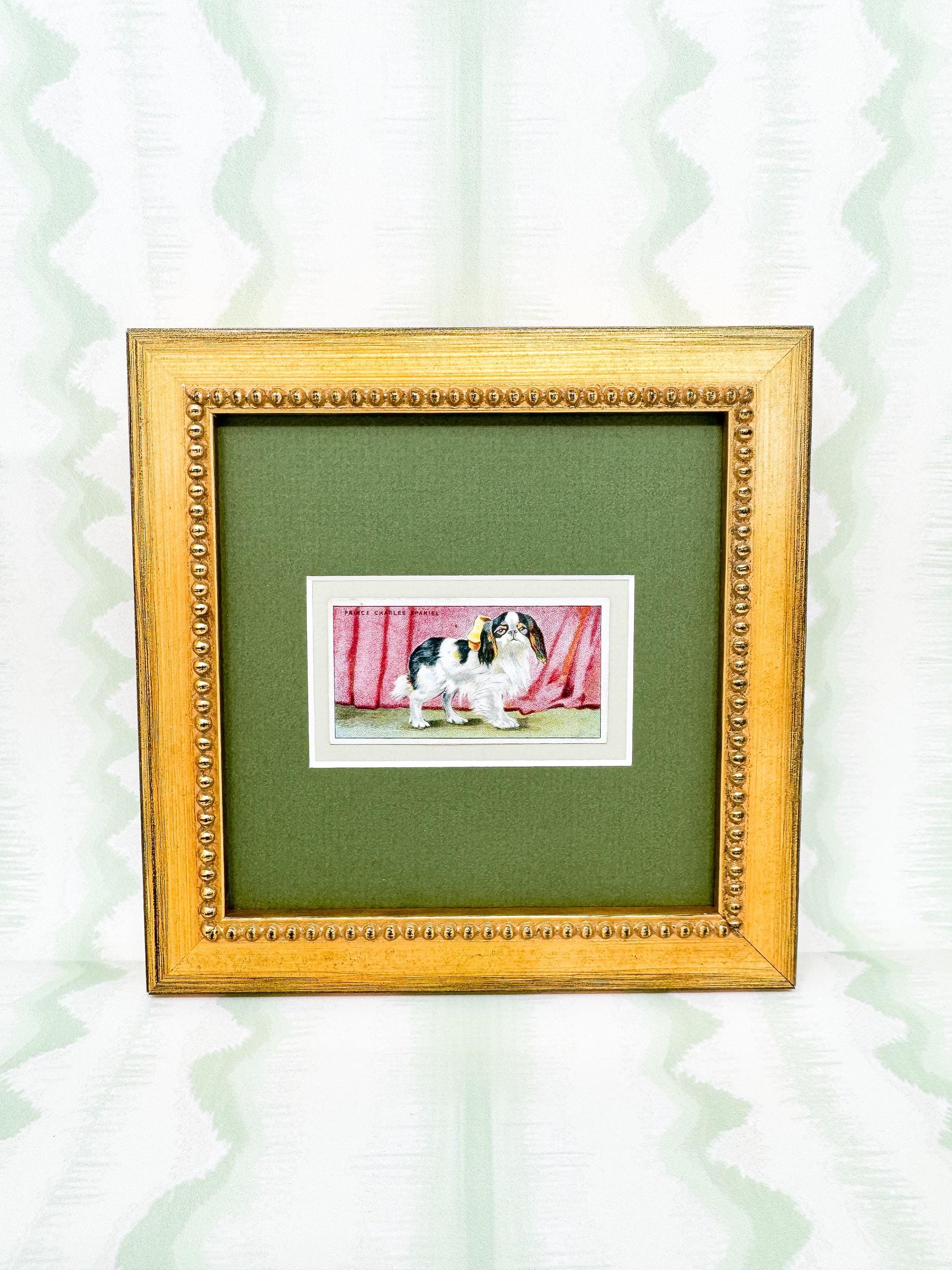 Framed Antique Dog Cigarette Card c. 1924, King Charles Cavalier Spaniel