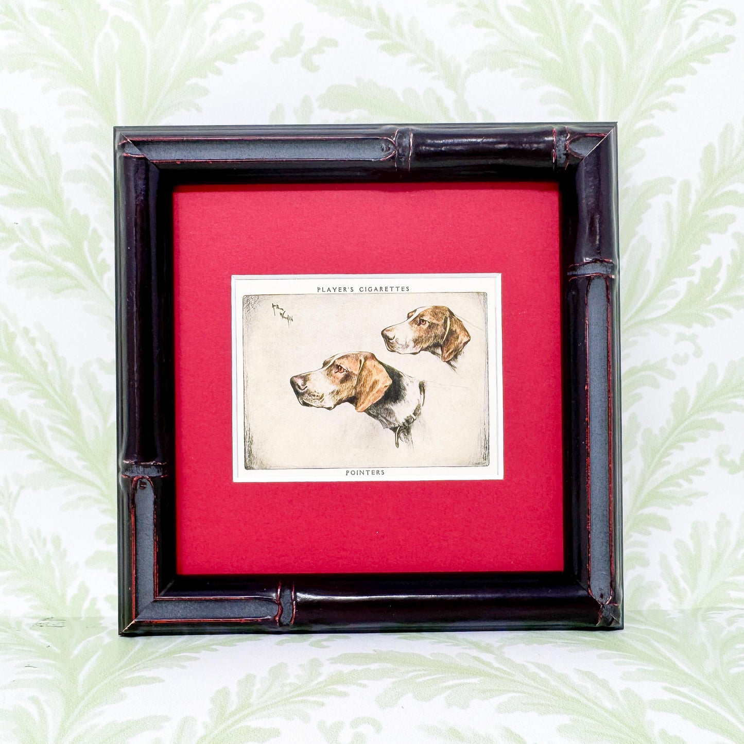 Framed Vintage Dog Cigarette Card c. 1955, Pointers