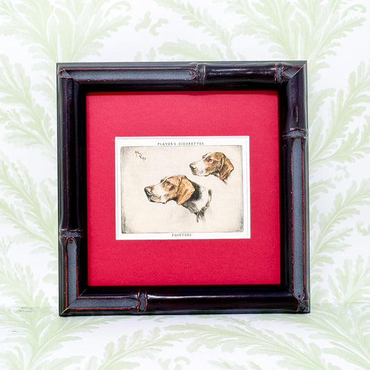 Framed Vintage Dog Cigarette Card c. 1955, Pointers