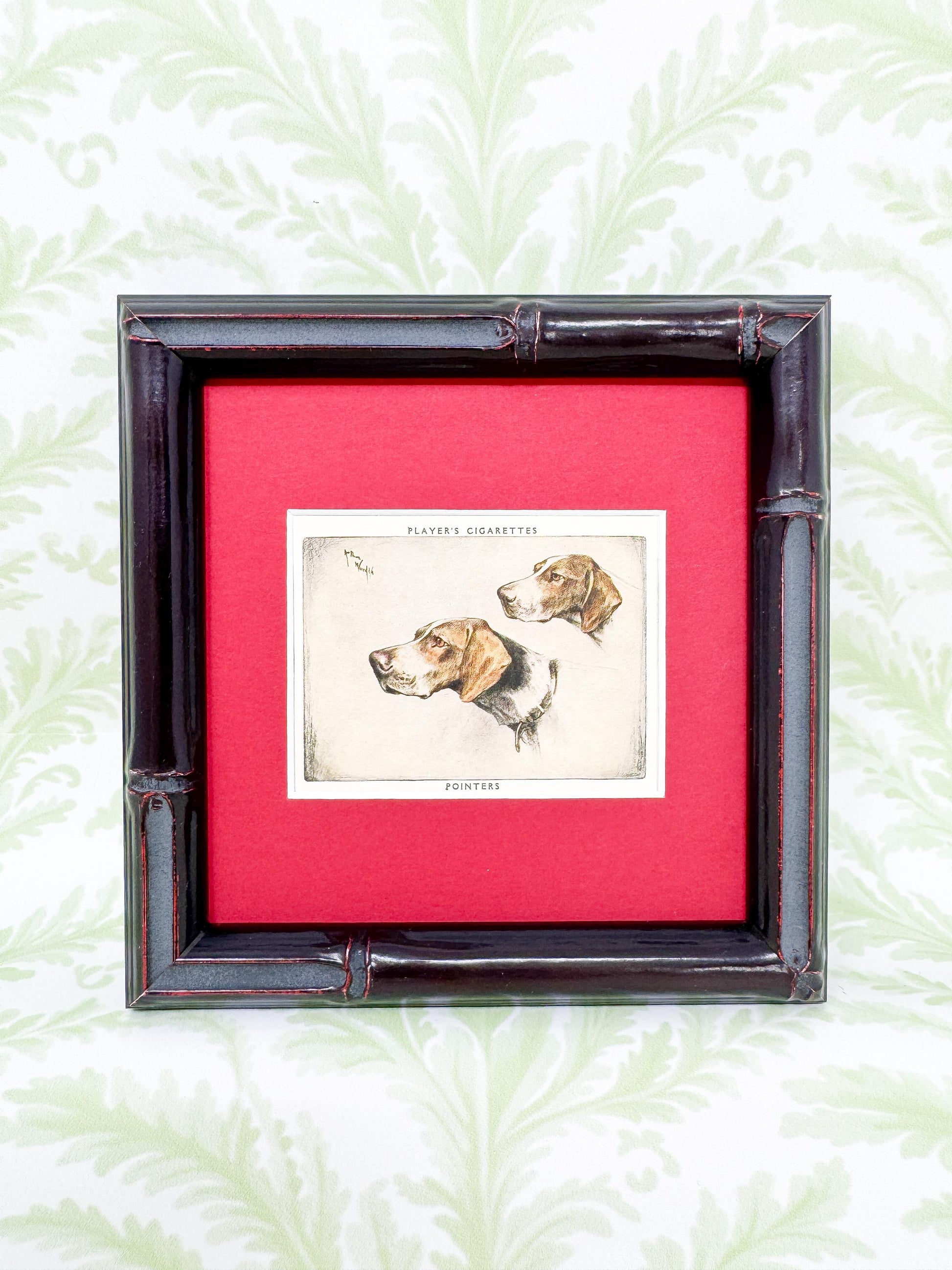 Framed Vintage Dog Cigarette Card c. 1955, Pointers
