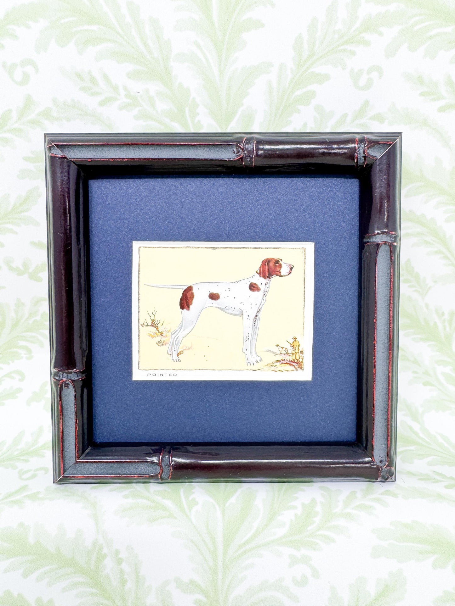 Framed Antique Dog Cigarette Card c. 1934, Pointer