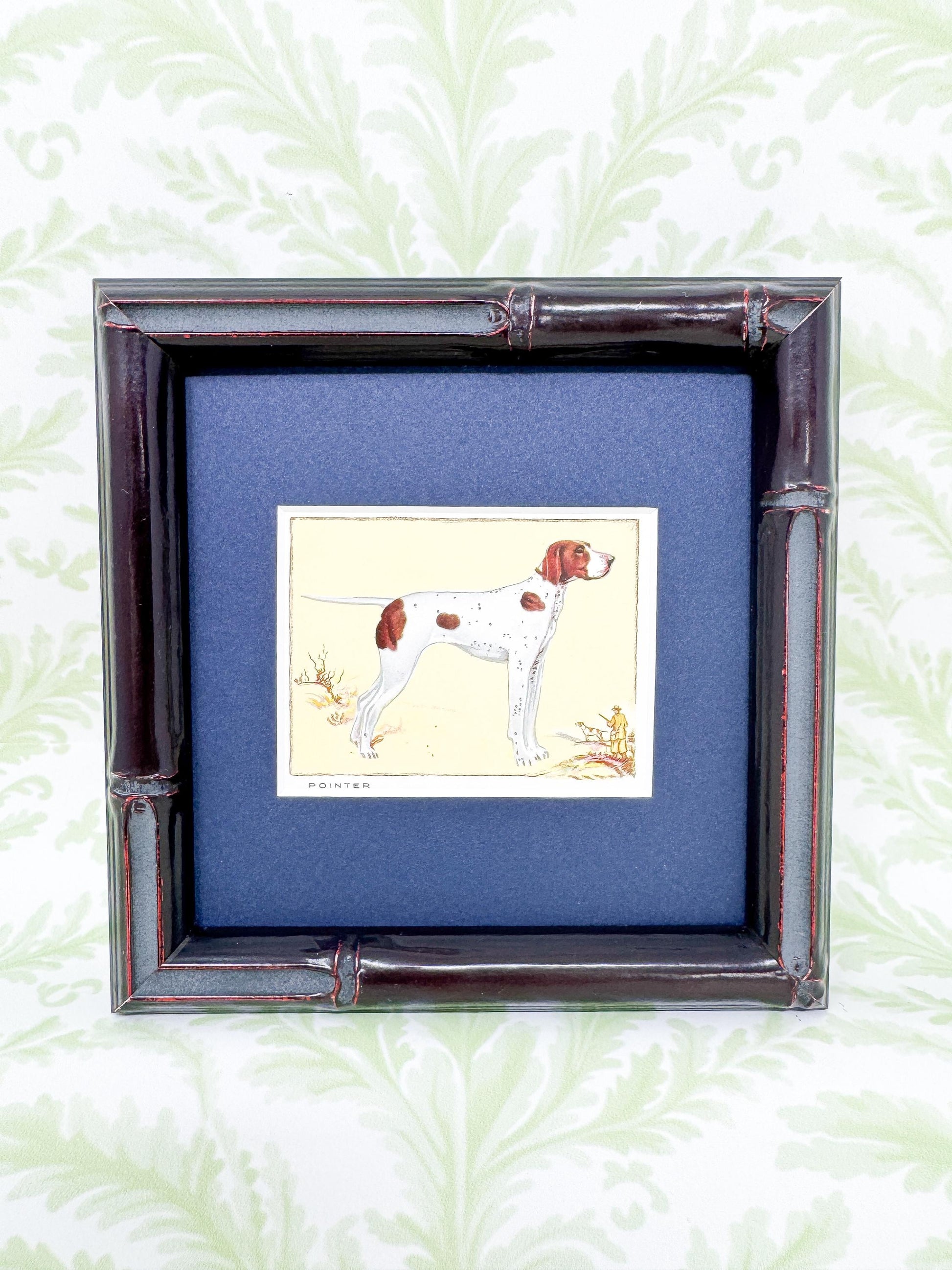 Framed Antique Dog Cigarette Card c. 1934, Pointer