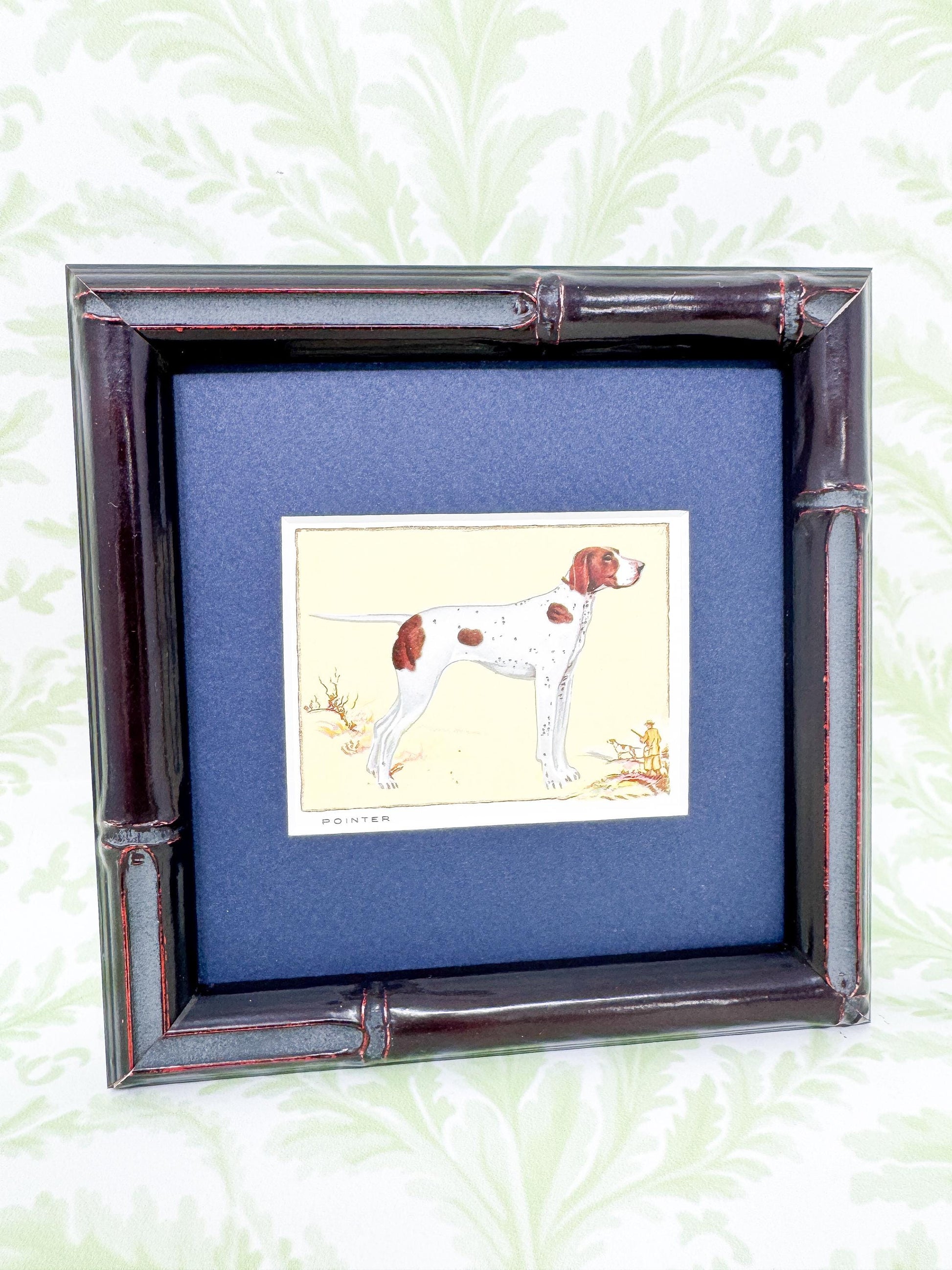 Framed Antique Dog Cigarette Card c. 1934, Pointer