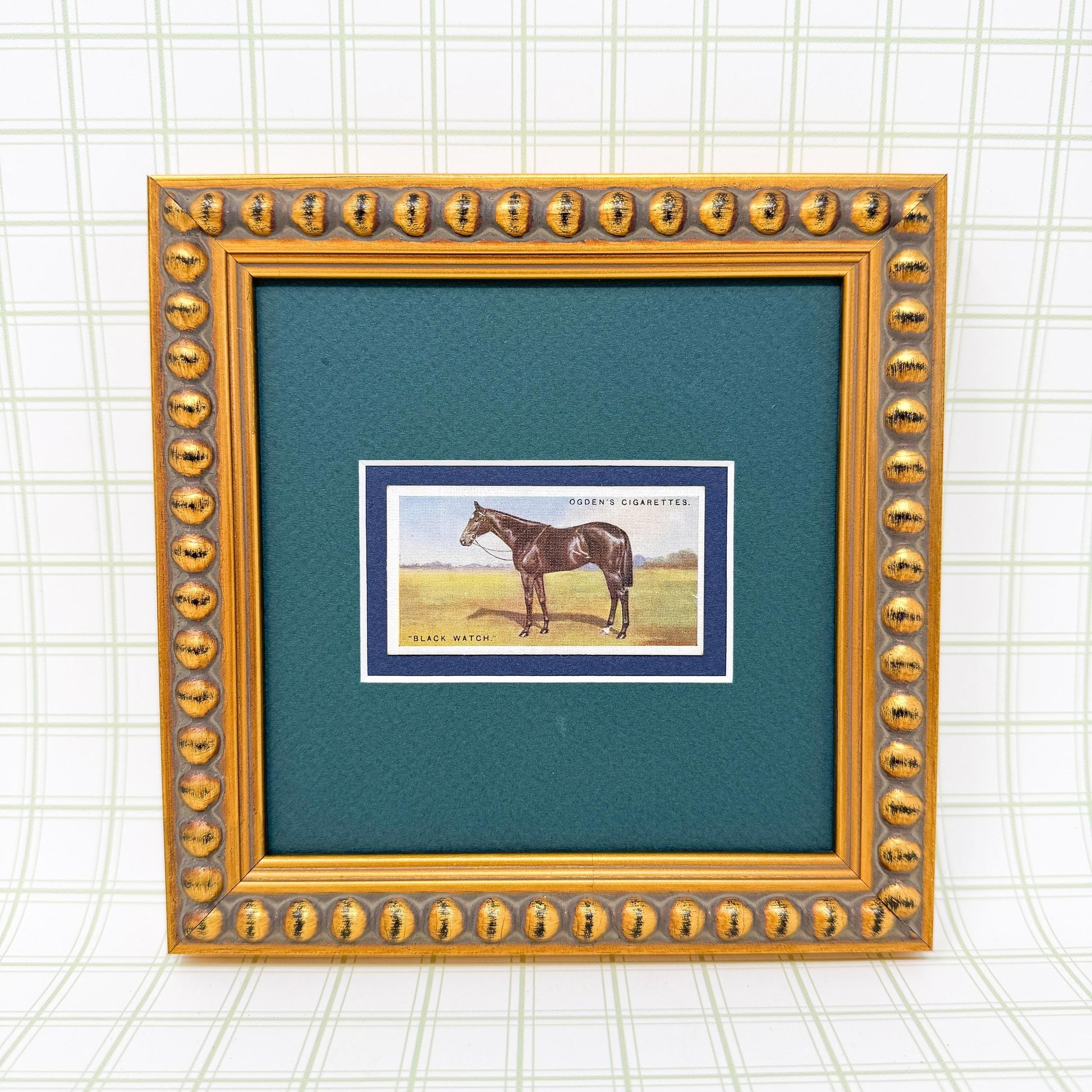 Framed Antique Race Horse Derby Cigarette Card c. 1928, Black Watch
