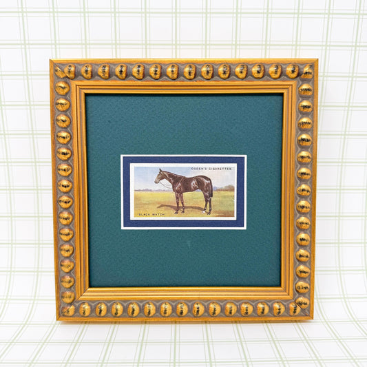 Framed Antique Race Horse Derby Cigarette Card c. 1928, Black Watch