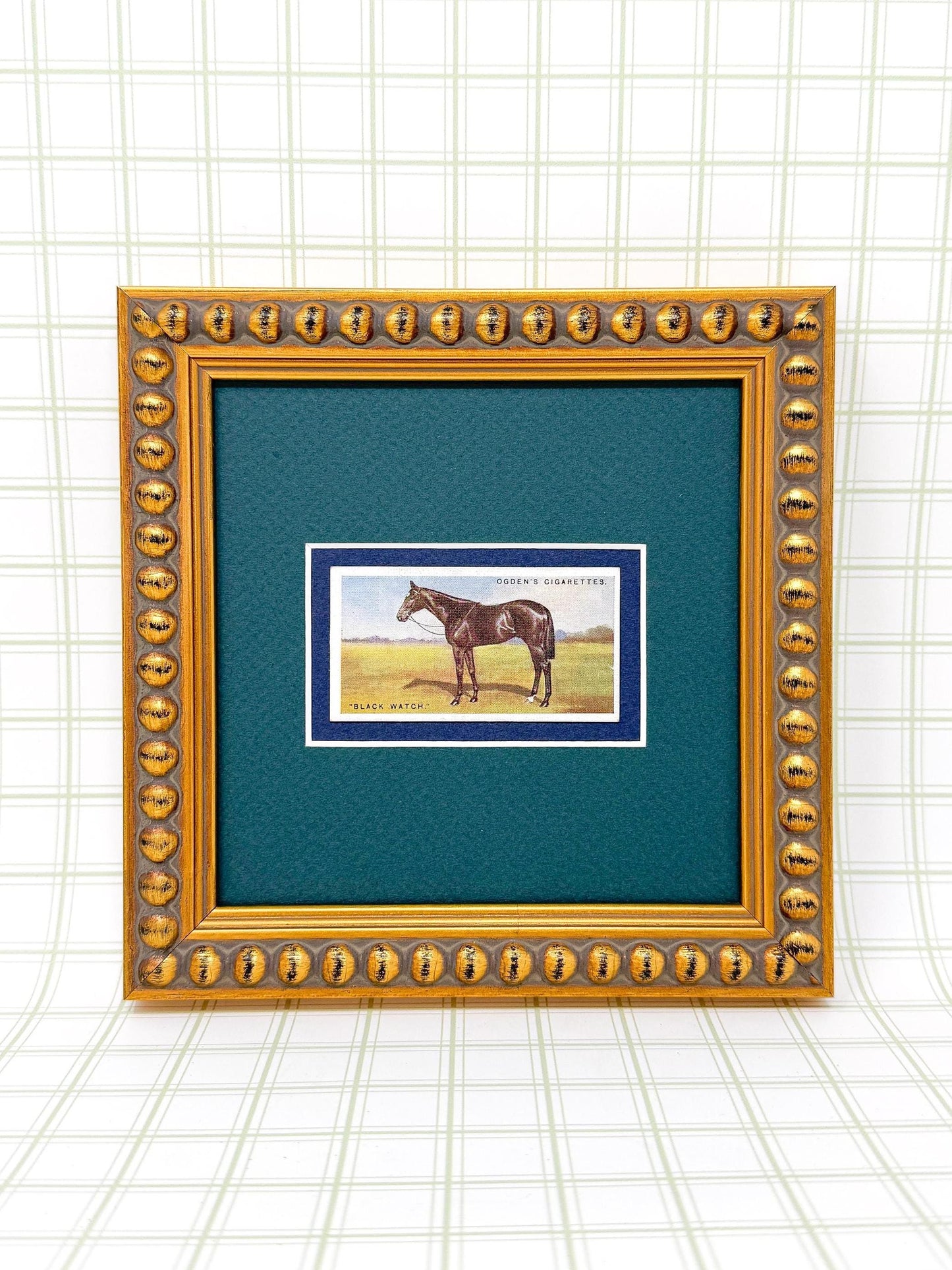 Framed Antique Race Horse Derby Cigarette Card c. 1928, Black Watch