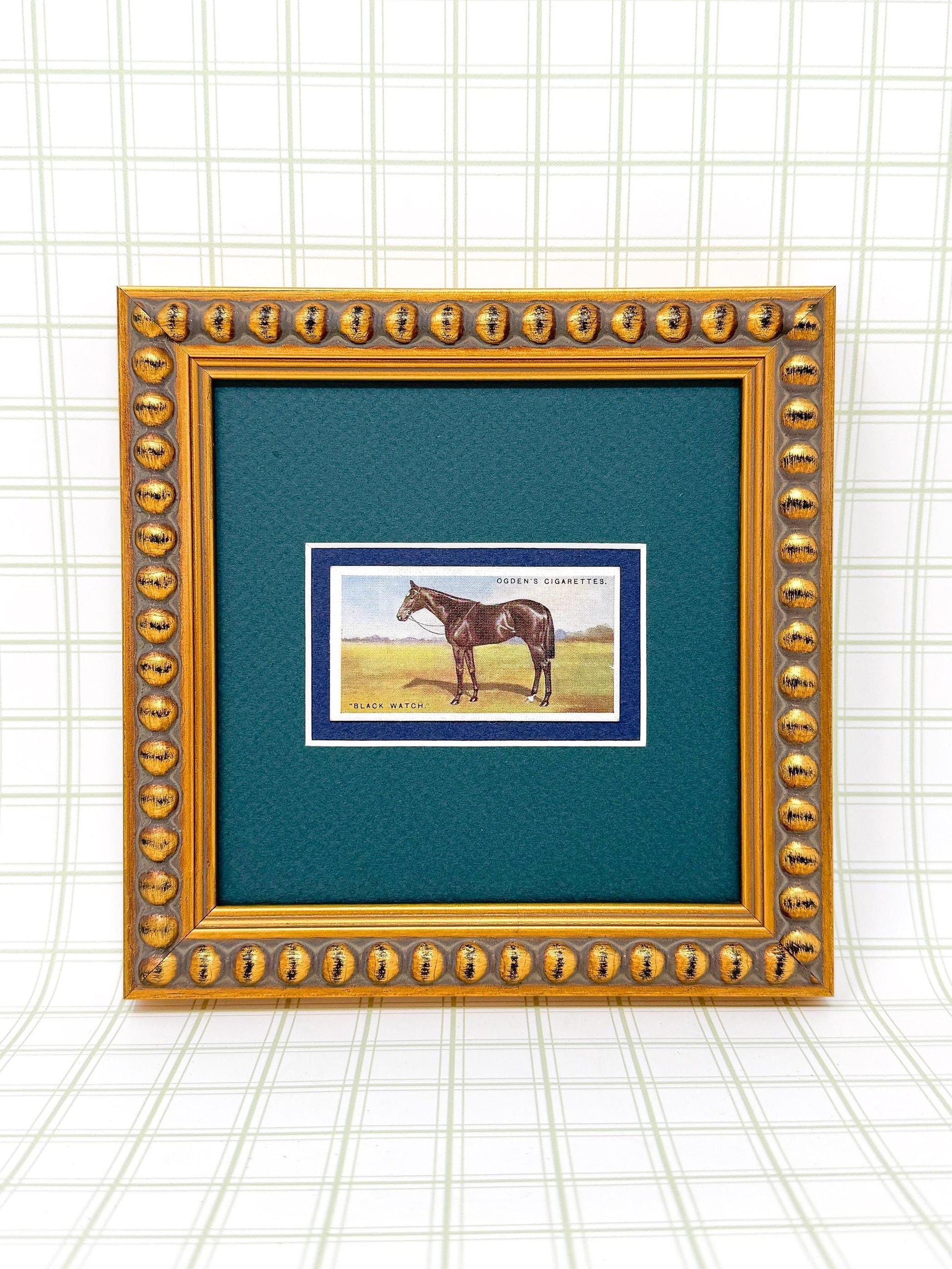 Framed Antique Race Horse Derby Cigarette Card c. 1928, Black Watch