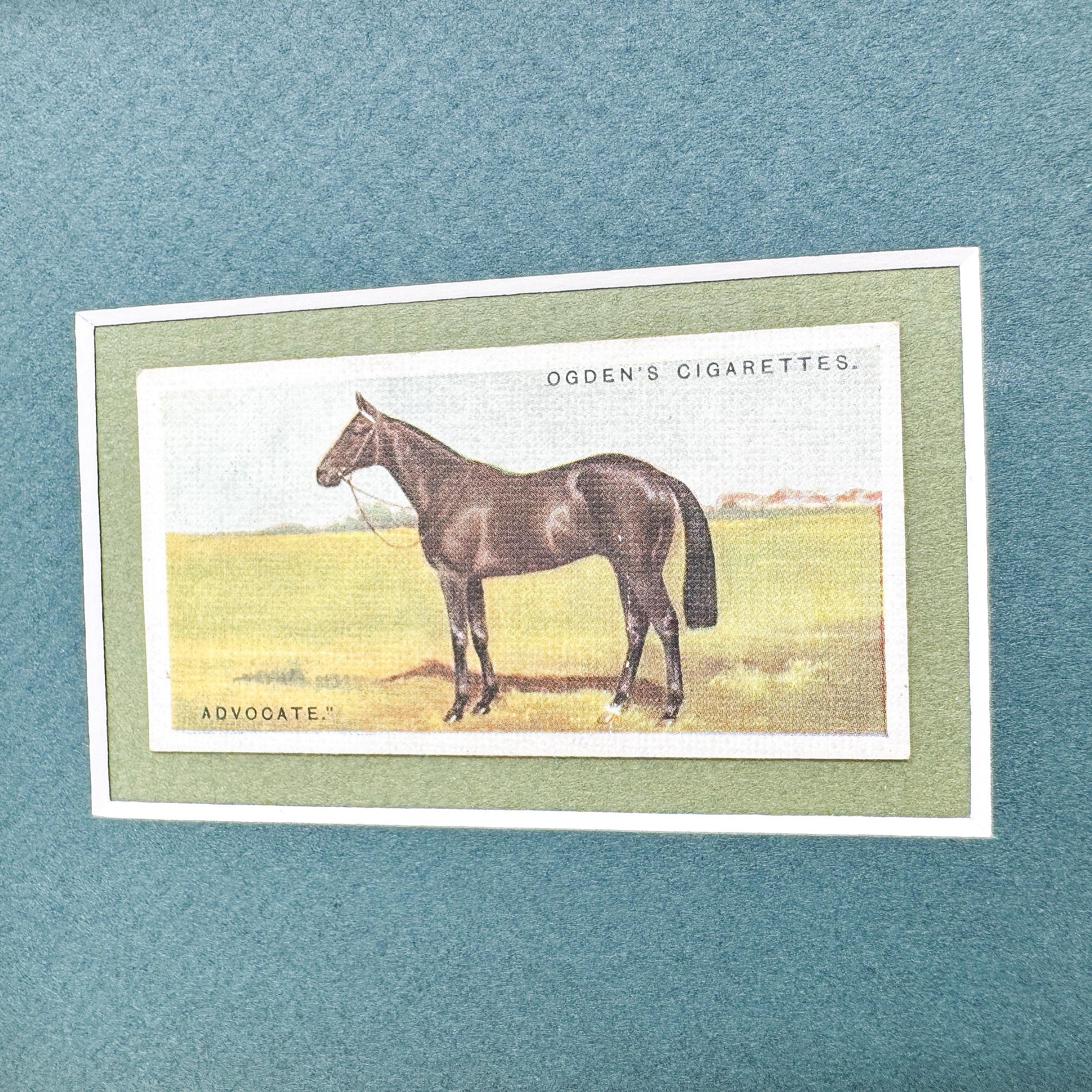 Framed Antique Race Horse Derby Cigarette Card c. 1928, Advocate