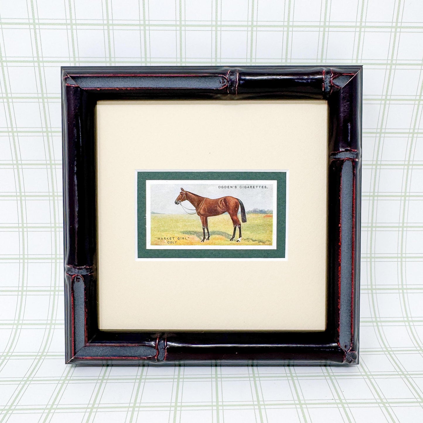 Framed Antique Race Horse Derby Cigarette Card c. 1928, Market Giri. Colt