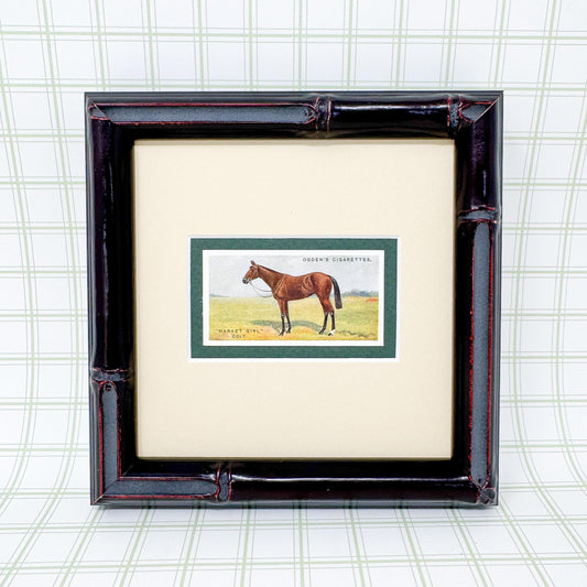 Framed Antique Race Horse Derby Cigarette Card c. 1928, Market Giri. Colt