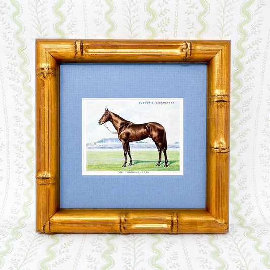 Framed Antique Horse Cigarette Card c. 1939, Thoroughbred
