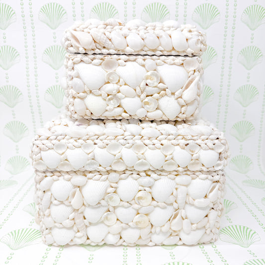 White Seashell Lidded Boxes