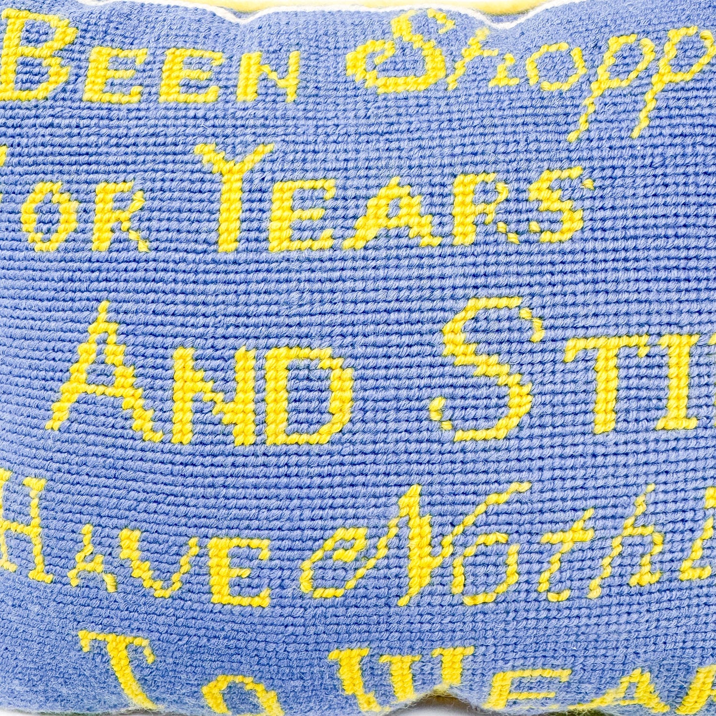 Vintage Needlepoint Pillow, I've Been Shopping For Years And Still Have Nothing To Wear