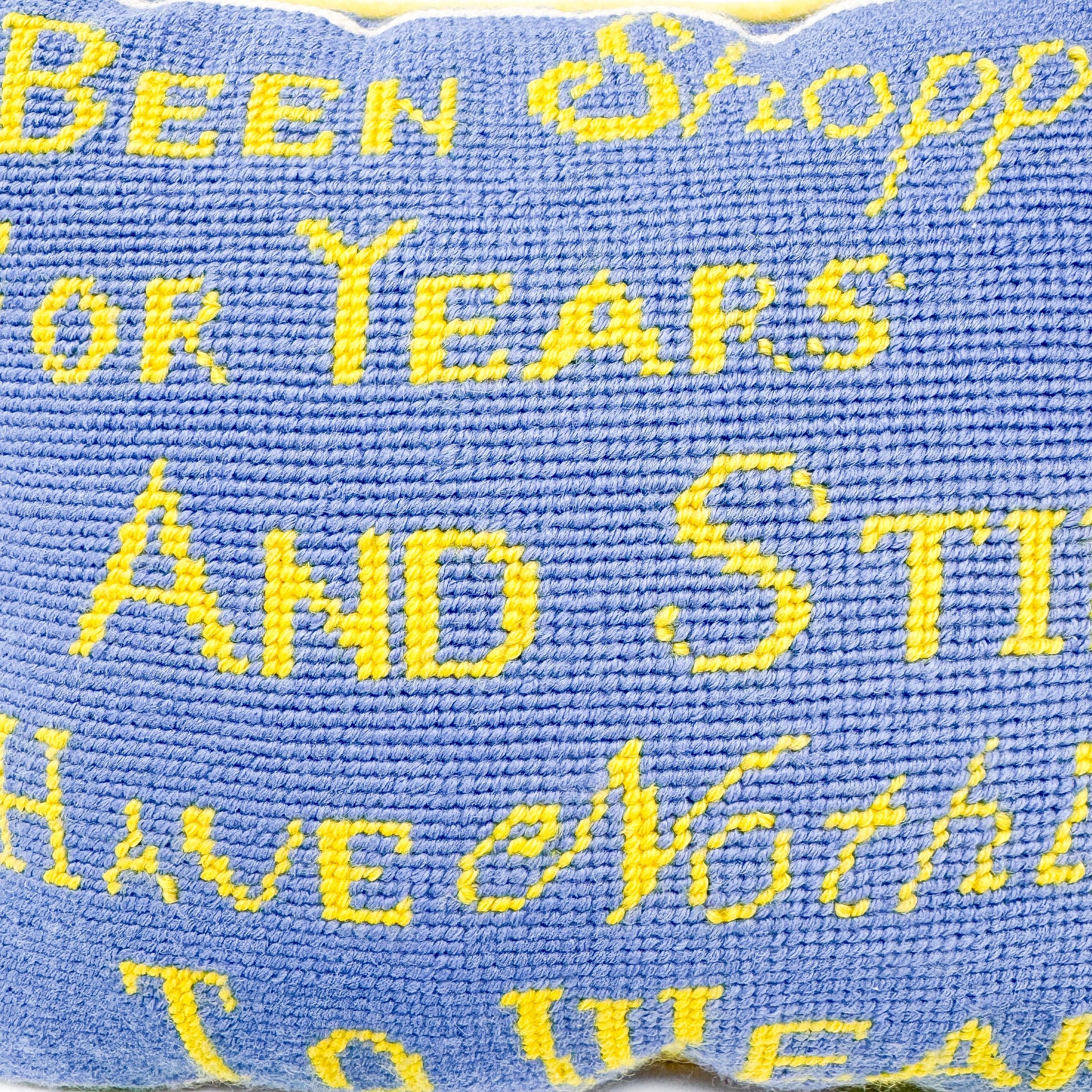 Vintage Needlepoint Pillow, I've Been Shopping For Years And Still Have Nothing To Wear