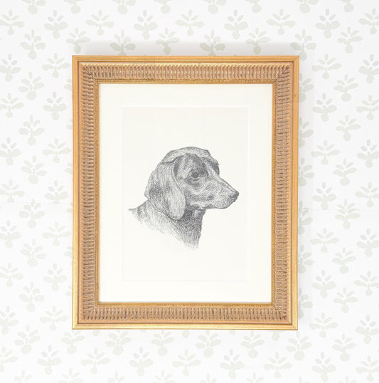 Framed Vintage Dog Book Plate, c. 1935, Short Haired Dachshund