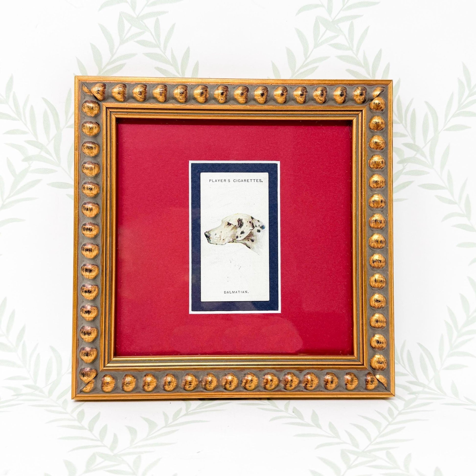 Framed Antique Dog Cigarette Card c. 1929, Dalmatian