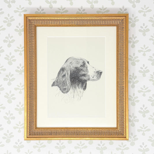 Framed Vintage Dog Book Plate, c. 1935, Welsh Springer Spaniel