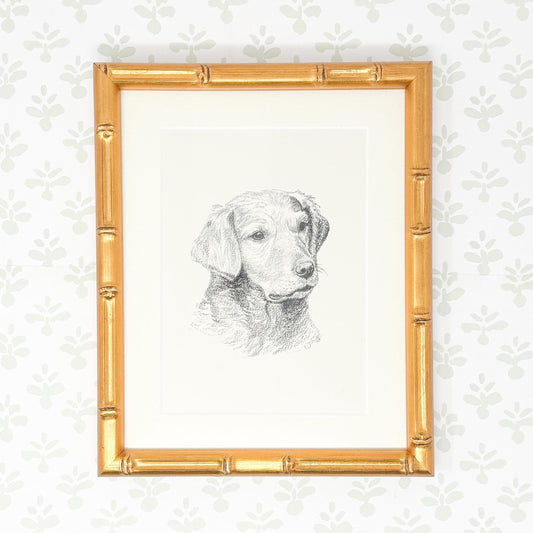 Framed Vintage Dog Book Plate, c. 1935, Golden Retriever