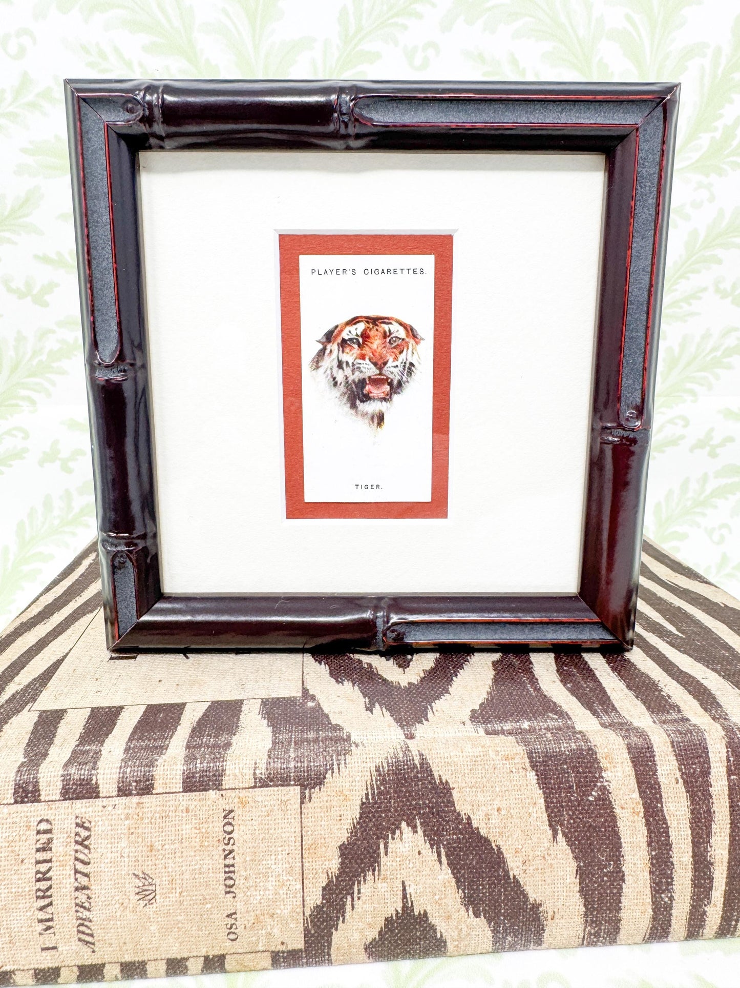 Framed Antique Cigarette Card c. 1931, Tiger