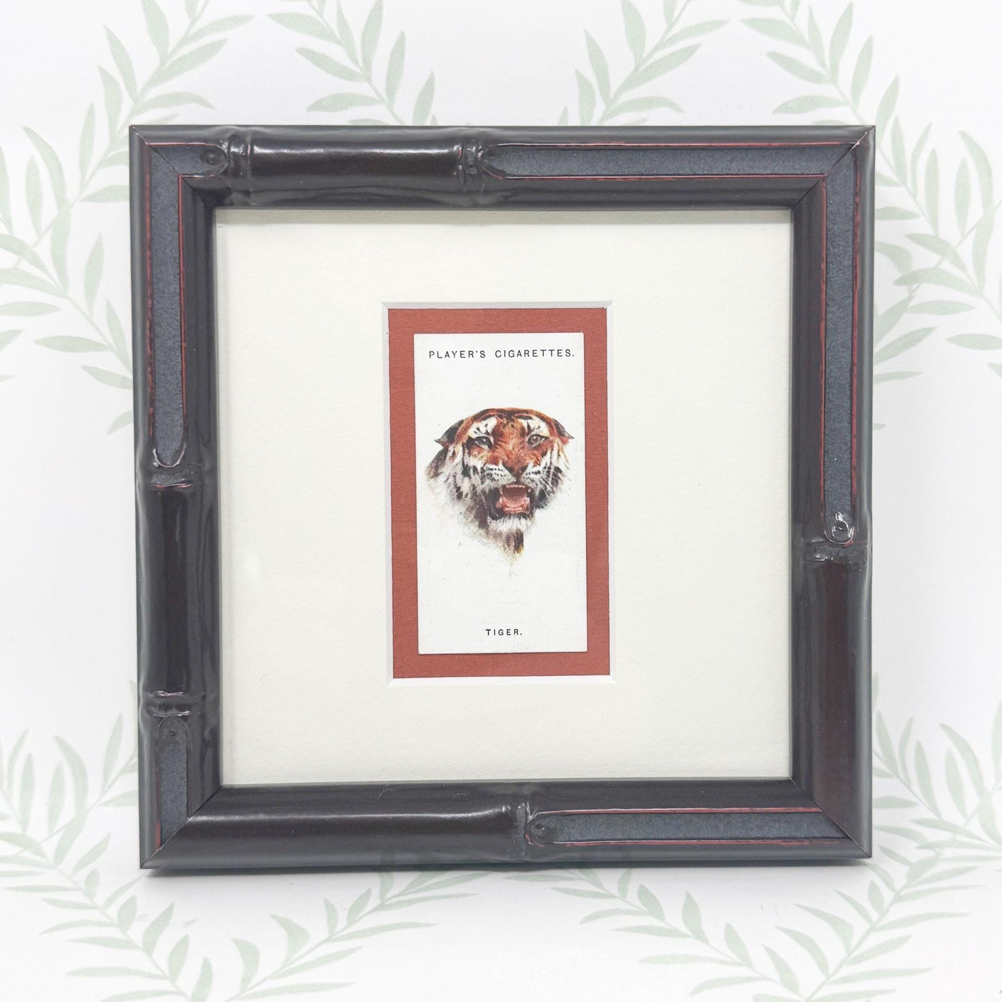 Framed Antique Cigarette Card c. 1931, Tiger