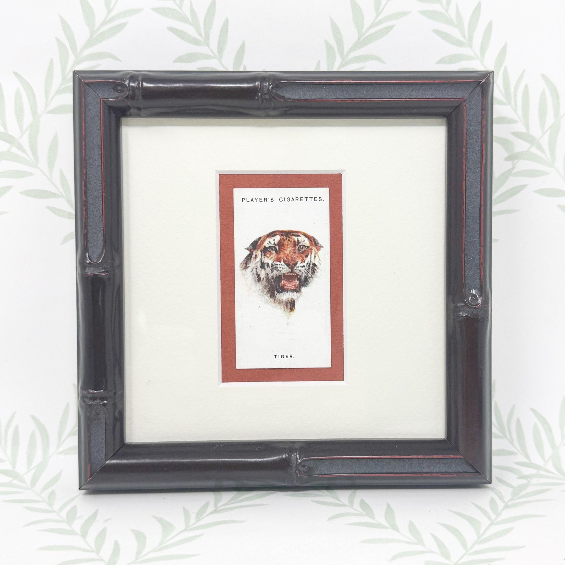 Framed Antique Cigarette Card c. 1931, Tiger