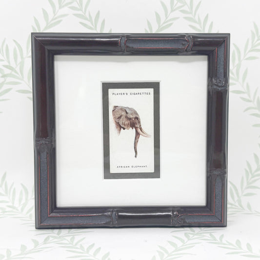 Framed Antique Cigarette Card c. 1931, African Elephant