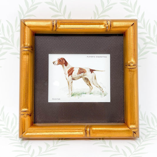 Framed Antique Dog Cigarette Card c. 1933, Pointer