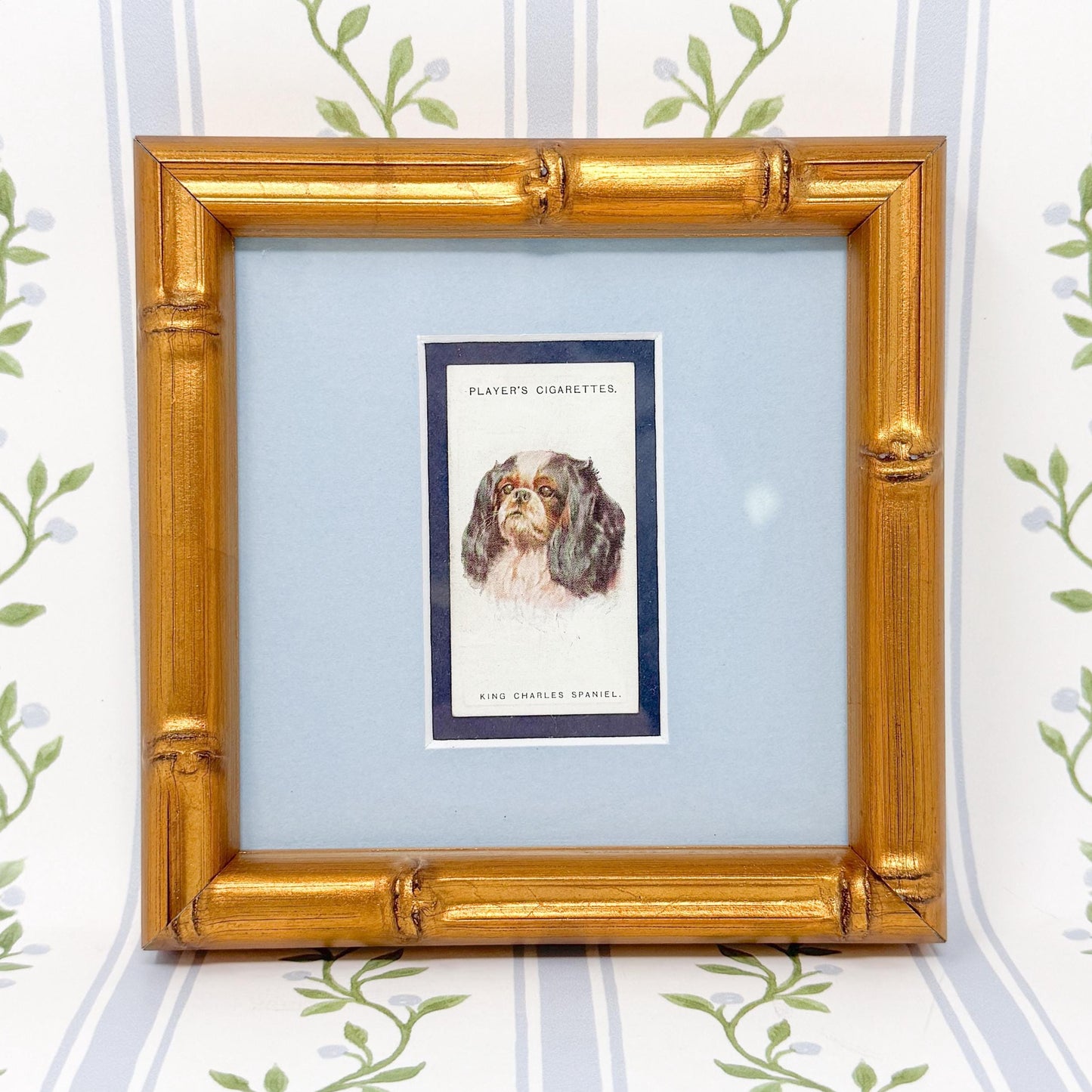 Framed Antique Dog Cigarette Card c. 1929, King Charles Cavalier Spaniel