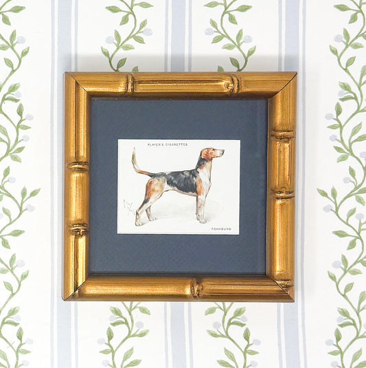 Framed Antique Dog Cigarette Card c. 1933, Foxhound