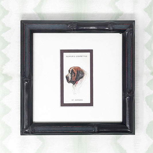 Framed Antique Dog Cigarette Card c. 1931, St. Bernard
