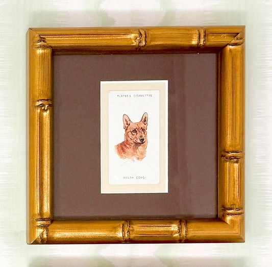Framed Antique Dog Cigarette Card c. 1929, Welsh Corgi