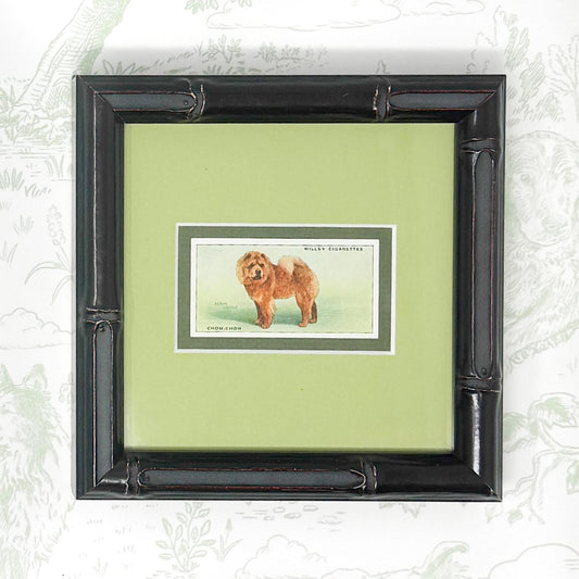 Framed Antique Dog Cigarette Card c. 1937, Chow Chow