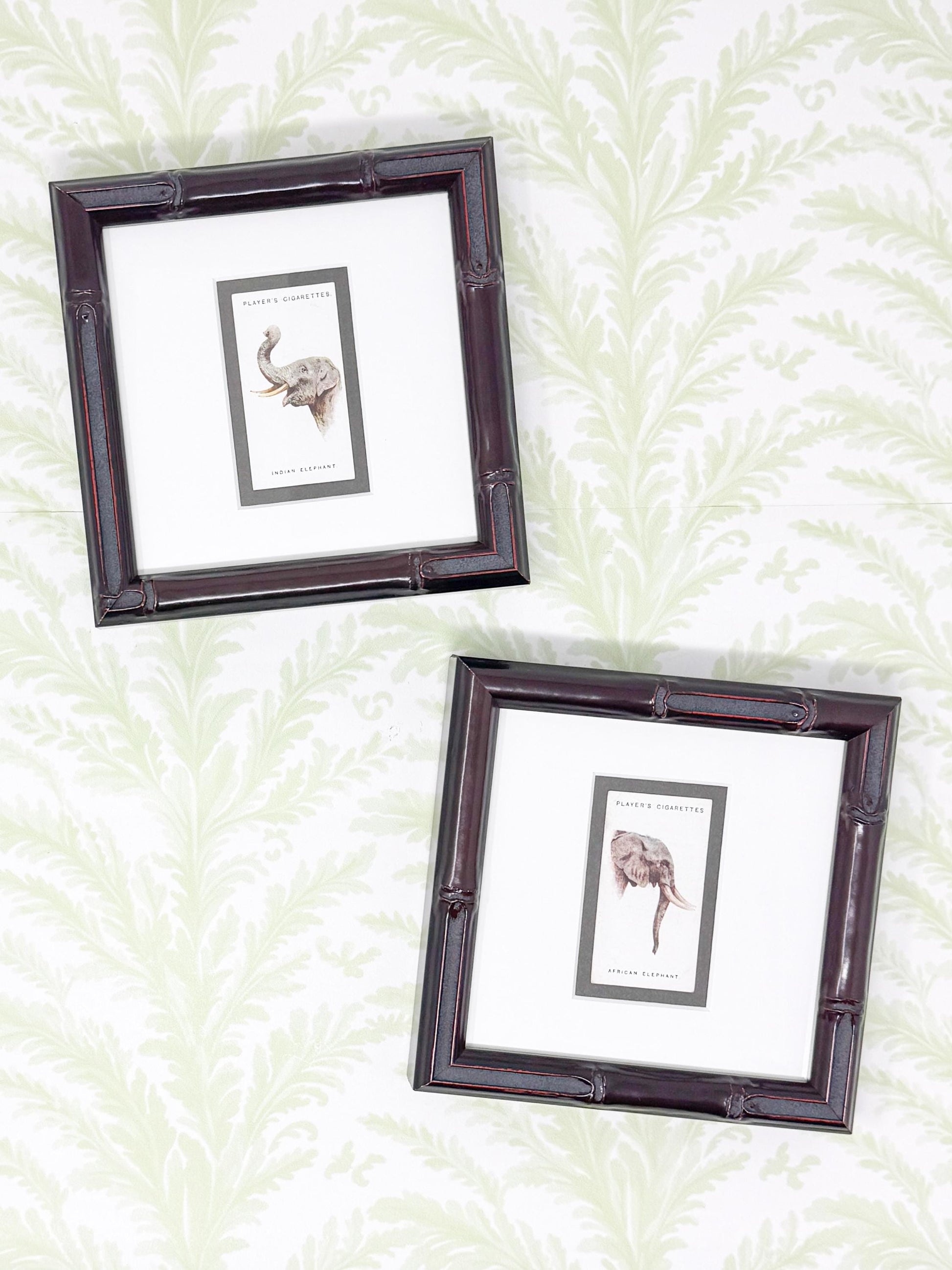 Framed Antique Cigarette Card c. 1931, African Elephant