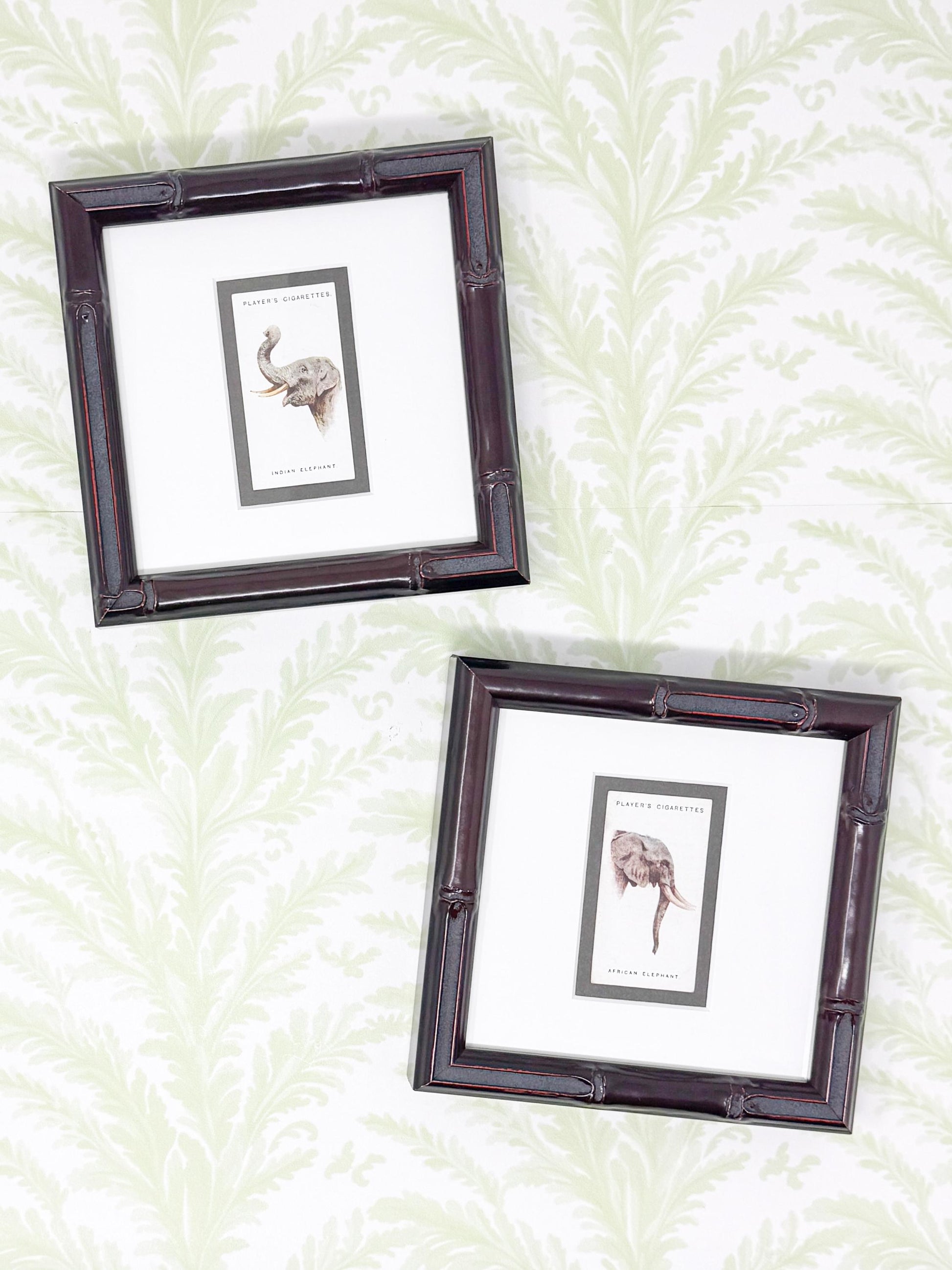 Framed Antique Cigarette Card c. 1931, Indian Elephant