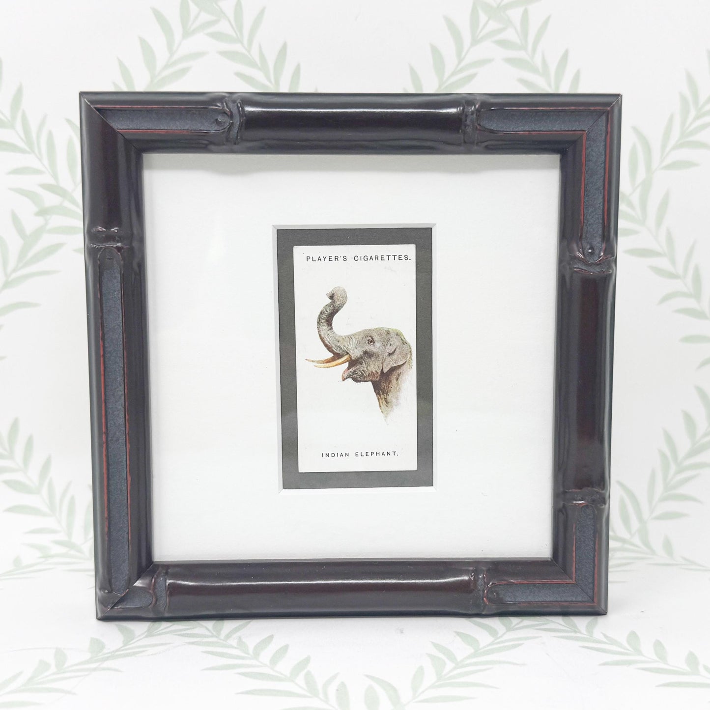 Framed Antique Cigarette Card c. 1931, Indian Elephant