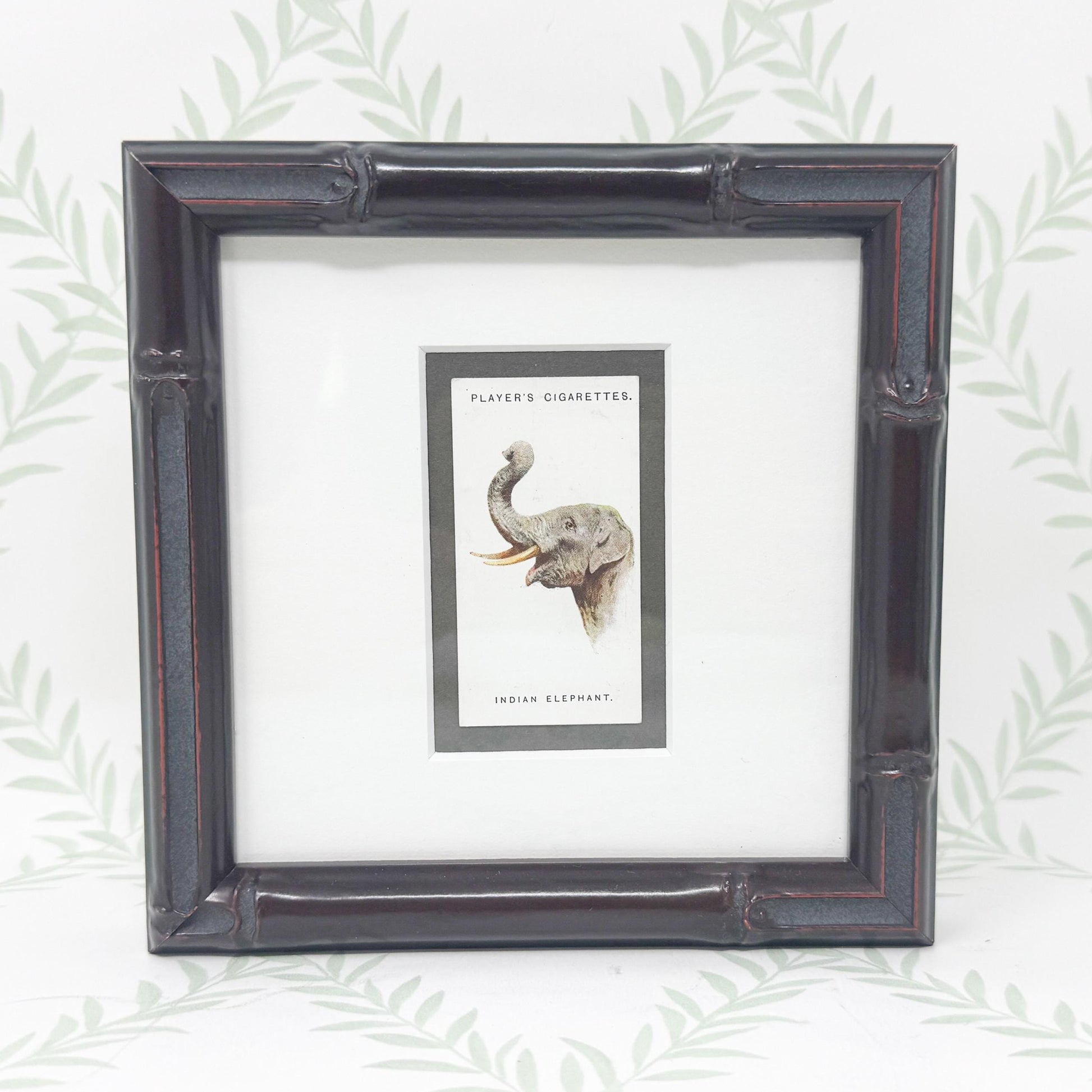Framed Antique Cigarette Card c. 1931, Indian Elephant