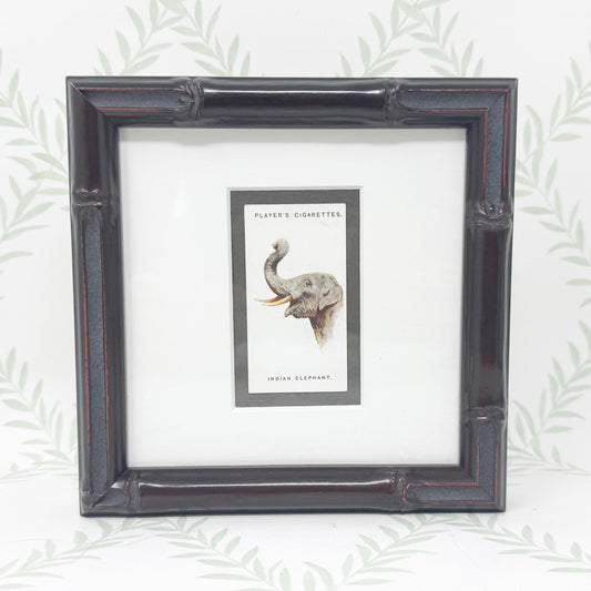 Framed Antique Cigarette Card c. 1931, Indian Elephant