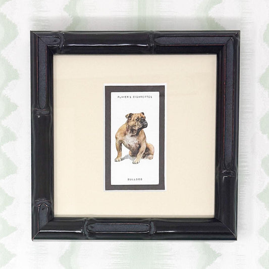 Framed Antique Dog Cigarette Card c. 1931, Bulldog