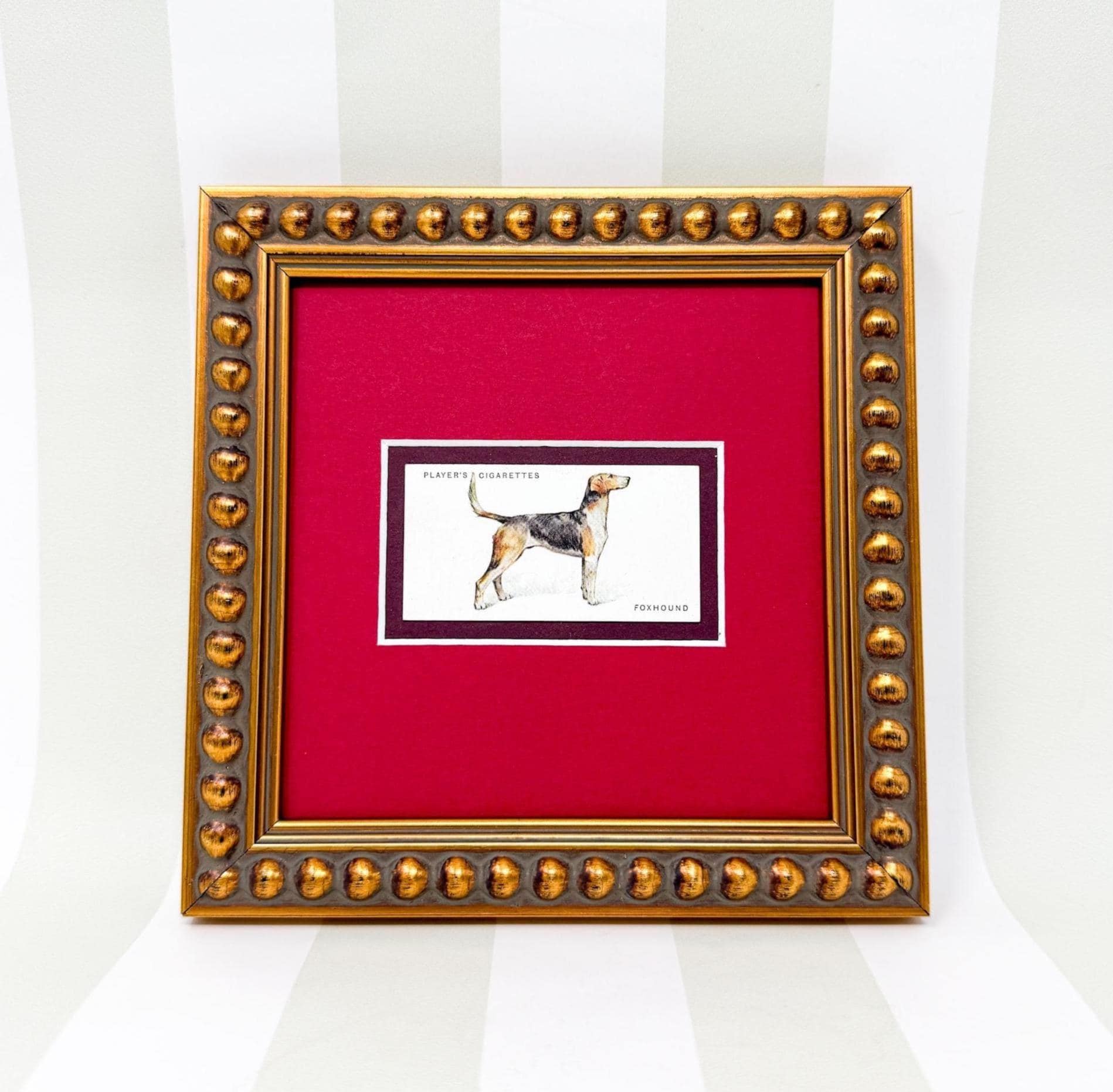 Framed Dog Antique Cigarette Card c. 1931, Beagle